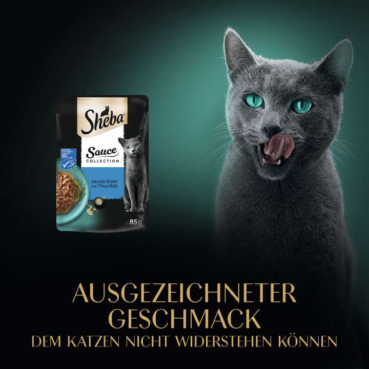 Sheba Katzen-Nassfutter Collection Sauce Lover mit Thunfisch MSC
